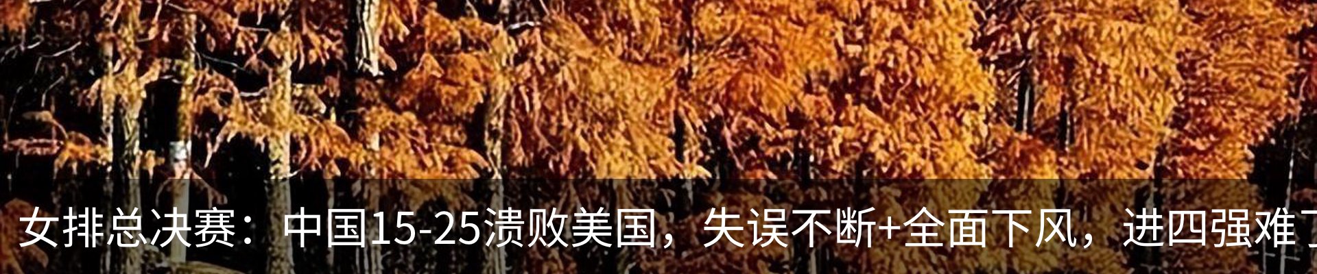 内页banner